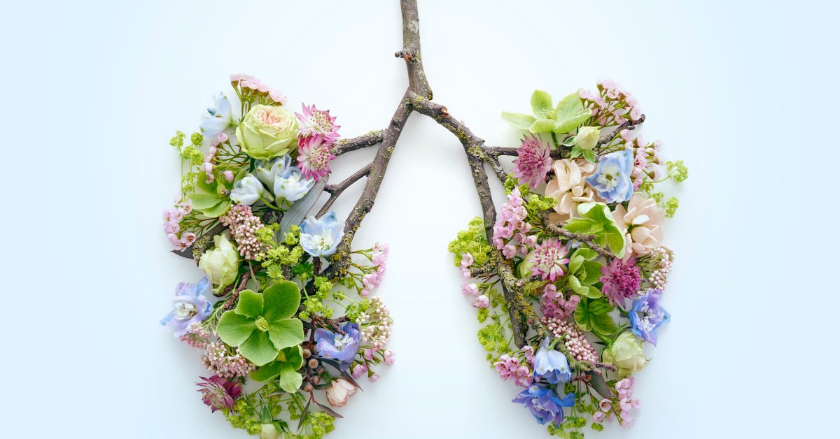 Yoga nidra, beginners, mobility, healing, recovery, wellness, ptsd, anxiety, depression, isolation, loneliness, connection, yoga, videos, tutorials, teacher, best, addiction, online, instruction, coaching, mindfulness, meditation, breathwork, pranayama, health, men, gentle, slow, easy, accessible, free, donation, affordable, authentic, holistic, restorative, restore, ashtanga, vinyasa, dayton, kettering, ohio, goal, emotional, budget, finance, goal, class, trauma, services, free, mind body, streaming, on demand, near me, MFR, myofascial release, peace, chronic, pain, spirituality, vipassana